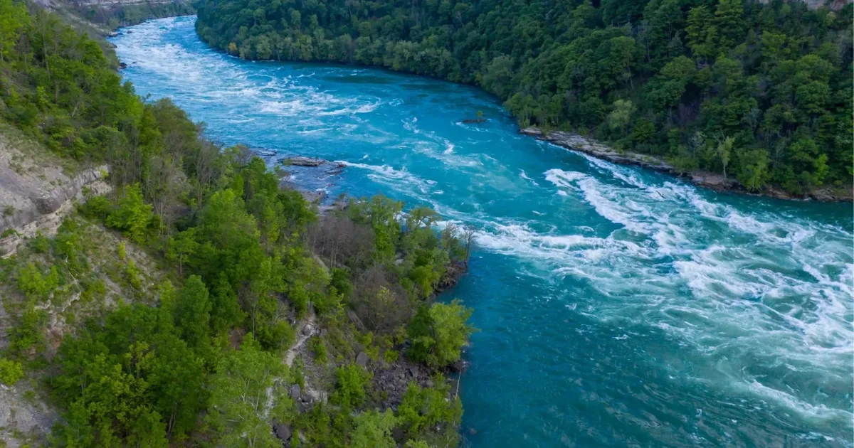 Turquoise white-water rapids running through the forested Niagara Gorge below Niagara Falls